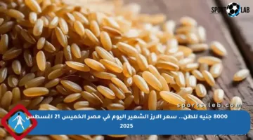 8000 جنيه للطن.. سعر الأرز الشعير اليوم في مصر الخميس 21 أغسطس 2025